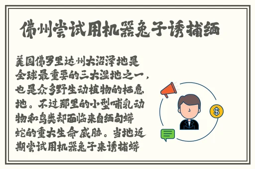 日本后营露营第二季无增减